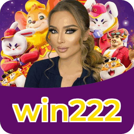 Interface win222
